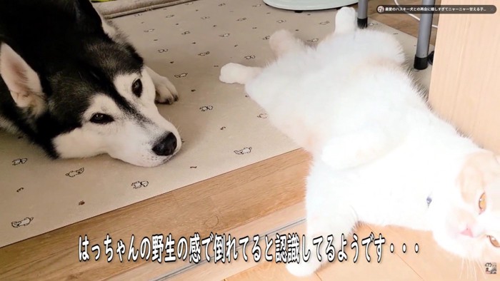 「じゅんちゃん大丈夫かな？」