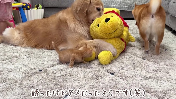 「断られた…」