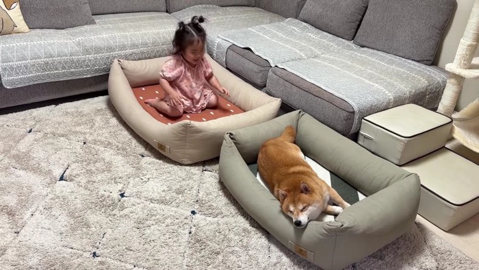 ほのちゃんも気に入ったみたい