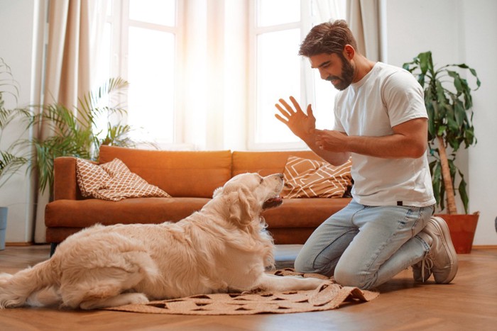 犬のしつけをする男性