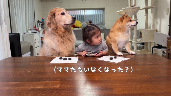 パパとママが出ると…