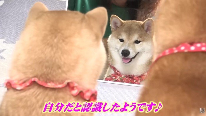 「私、こんなに可愛かったのね」