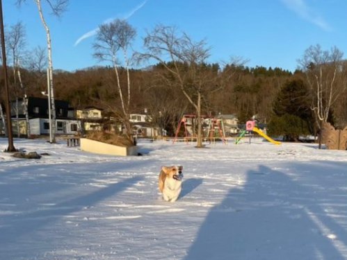 雪景色