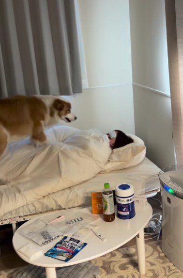 愛犬のイギーちゃん♡