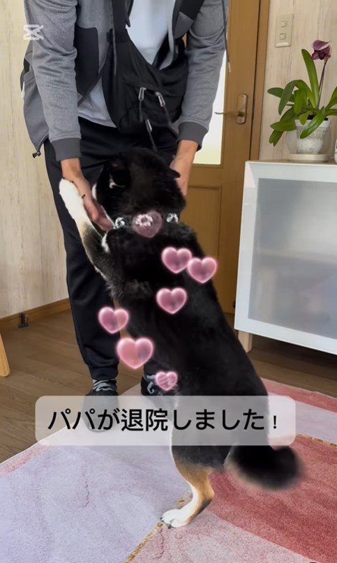 あずきちゃんとお父さんの再会3