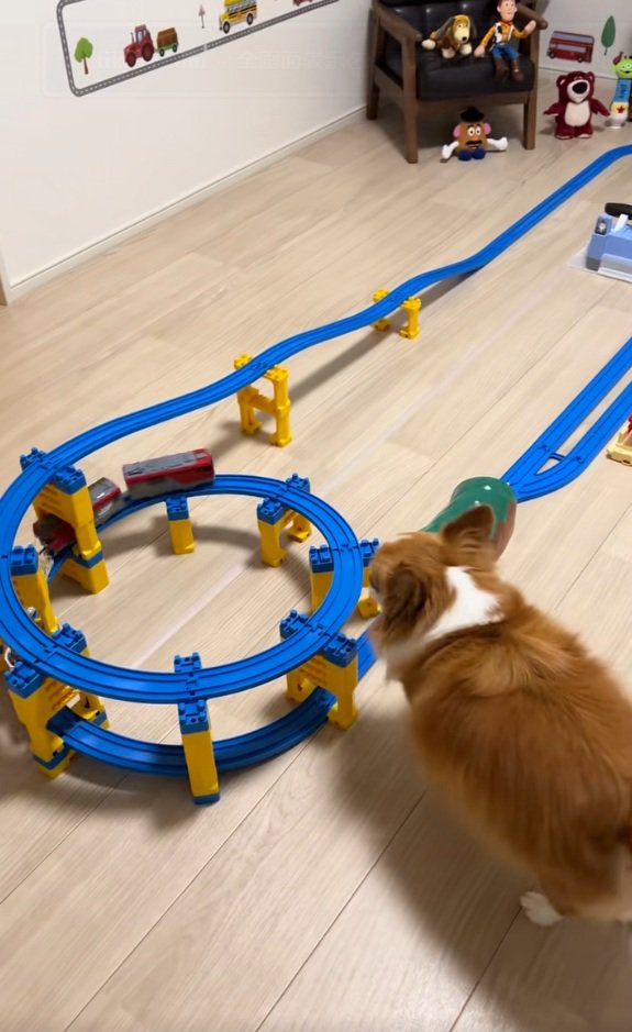 順調に運行する貨物列車