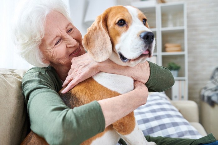 年配のカップルと犬