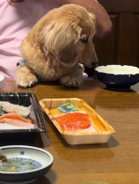 食事時間も家族と一緒♡