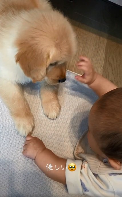 手を上げる赤ちゃん