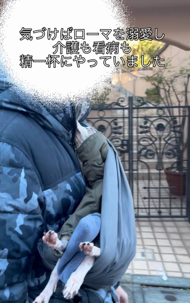 抱っこ紐で犬をお散歩