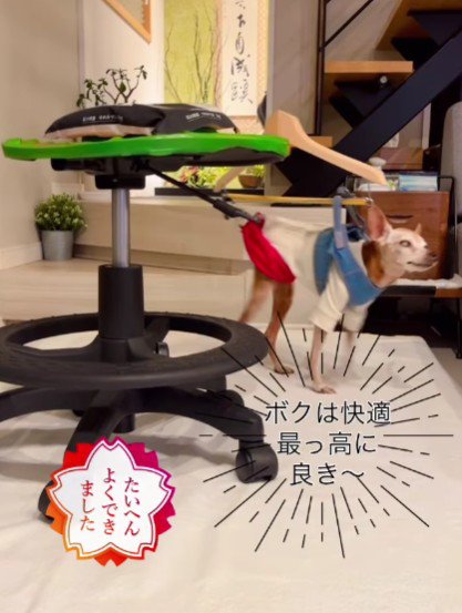 手作りの「歩行装置」をプレゼント！！