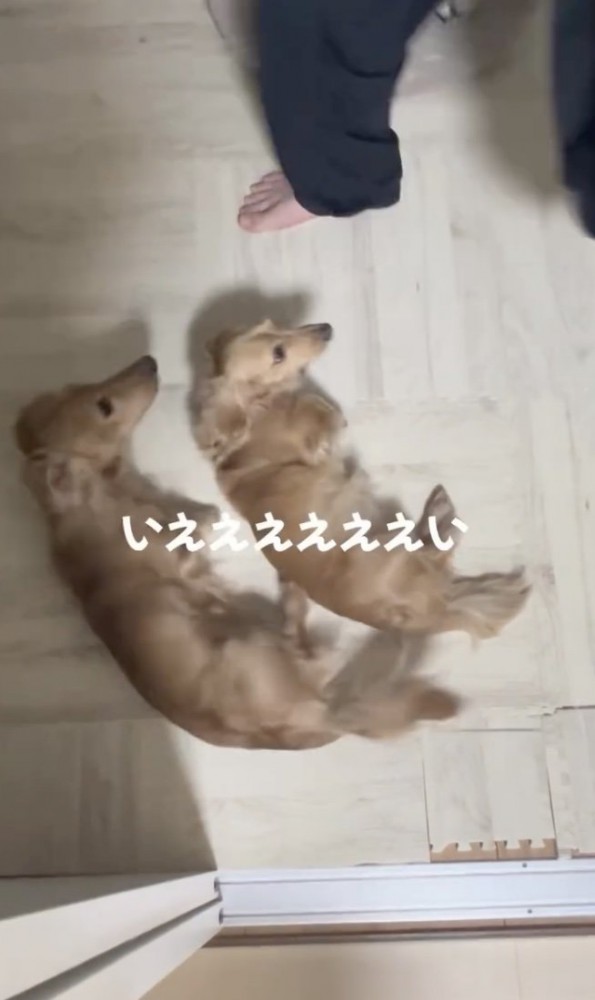 バッ！！