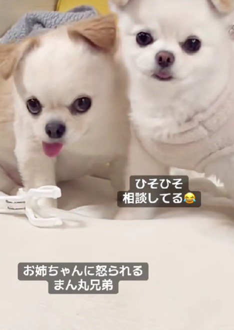 「いいこと聞いちゃった」