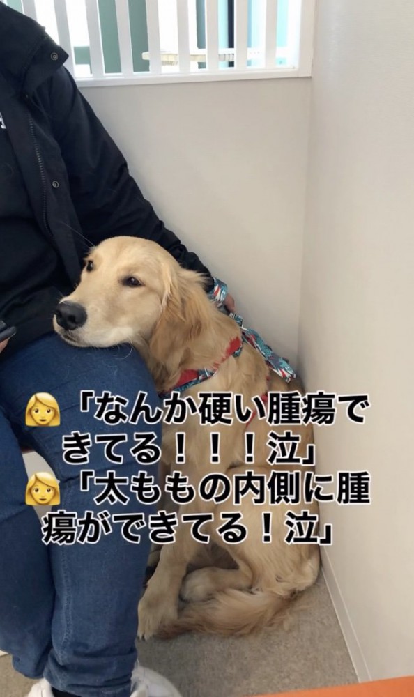 不安でいっぱいに