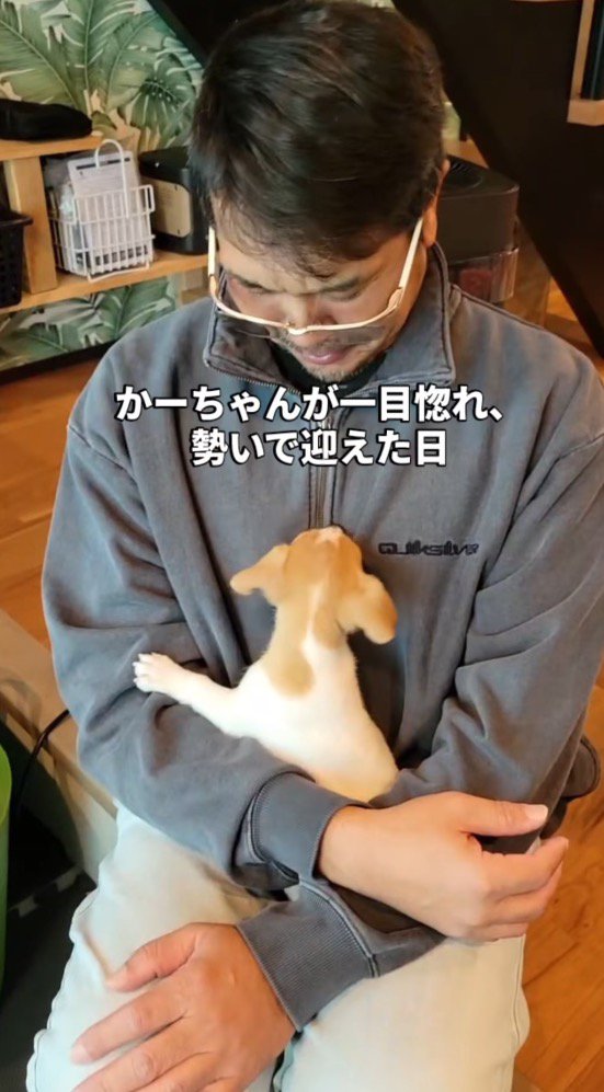 子犬を膝に乗せる男性