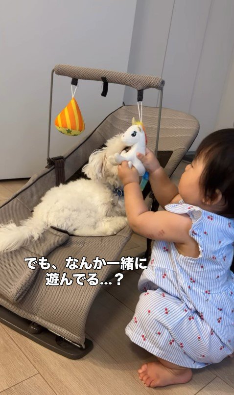 あさりちゃんと赤ちゃん4