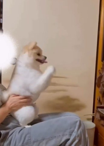 手を合わせてご挨拶♡