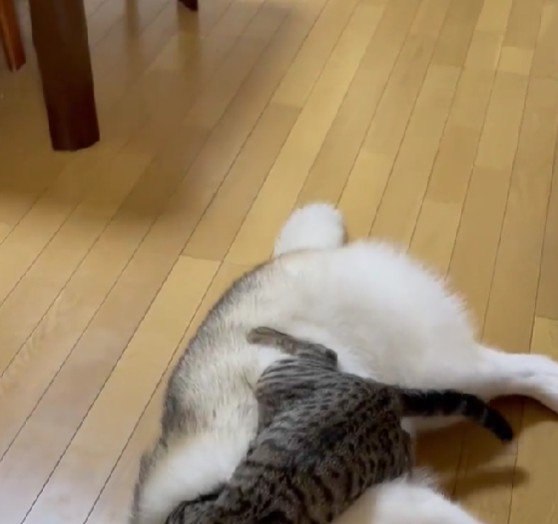 1週間ぶりに再会
