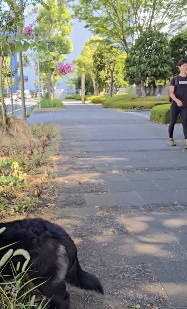 パパがやってきた!