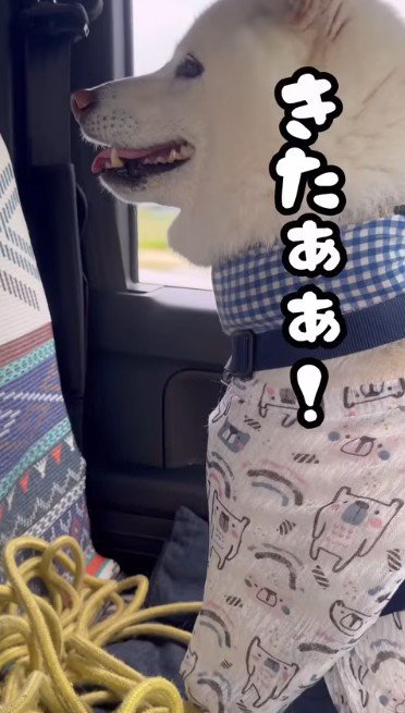 「嘘じゃなかったんだ！」