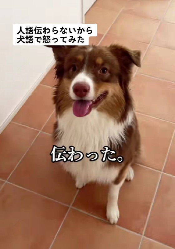 まさかの効果てきめん！！