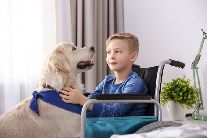 車いすの男の子と犬