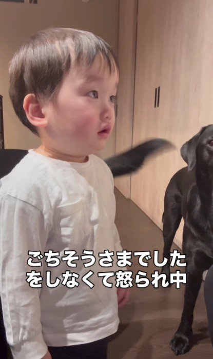 ママに叱られていると…