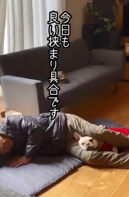 おじいちゃんの足に挟まるブン太くん