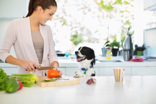 キッチンで調理をする女性と犬