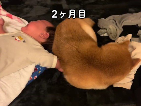 近くで寝られるようになった！