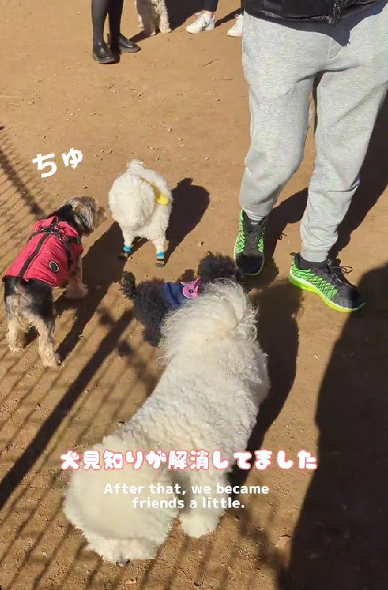 「ちゅっ」