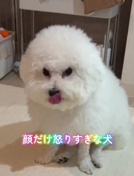 睨みつけているよう