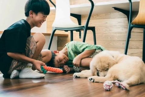 子犬を笑顔で見つめる子供たち