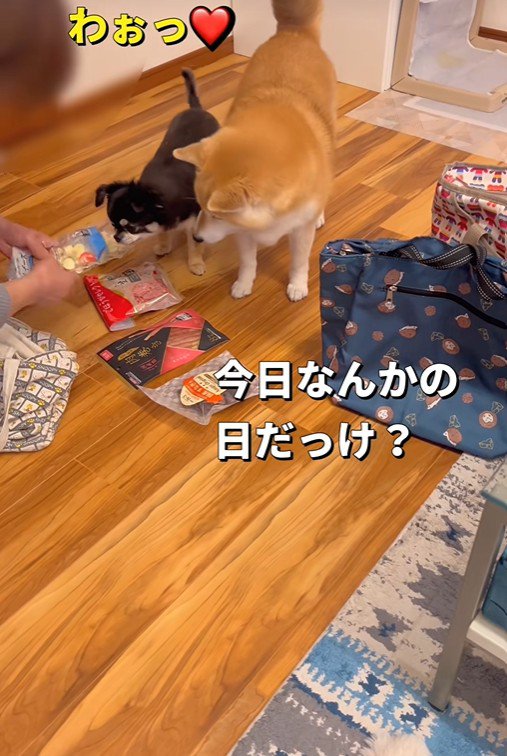 オヤツをたくさんもらいました!