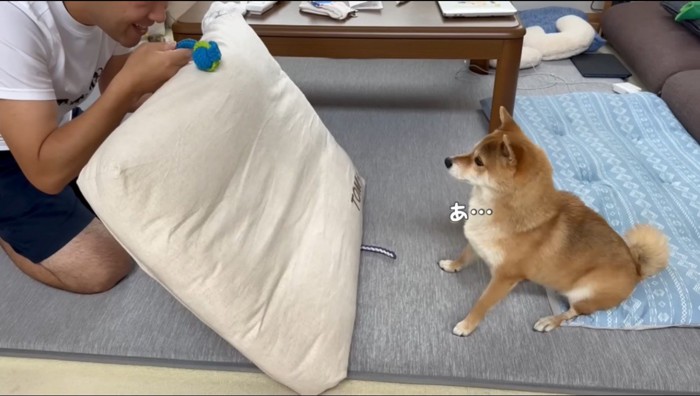 男性が持っているロープを凝視する犬