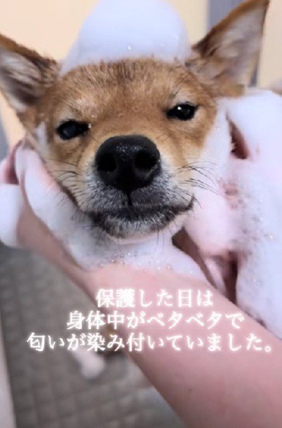 体はベタベタに汚れ…