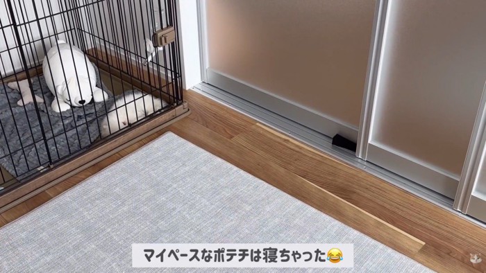 ポテチくんとレモンさんの初対面7