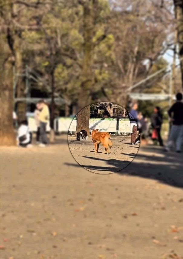 探し始めるラッキーくん