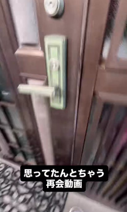 再会の様子を撮りたくて…