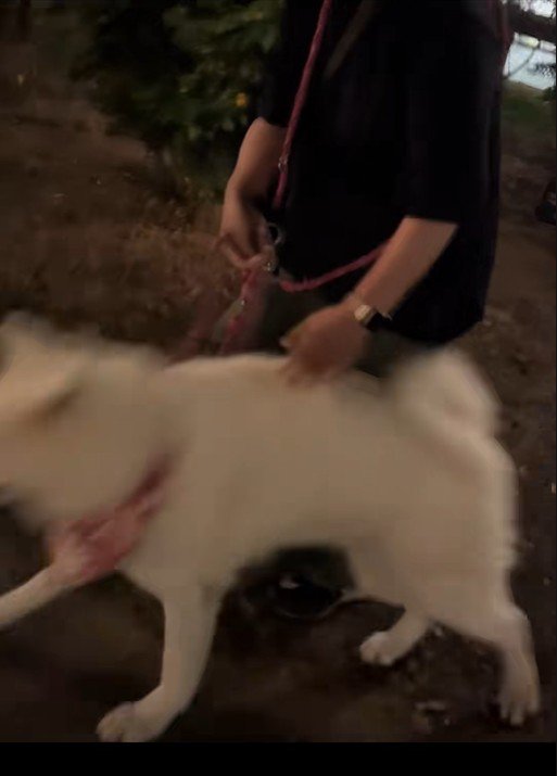 看板から離れると…