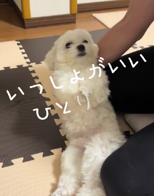 別々で寝ようとしたら…