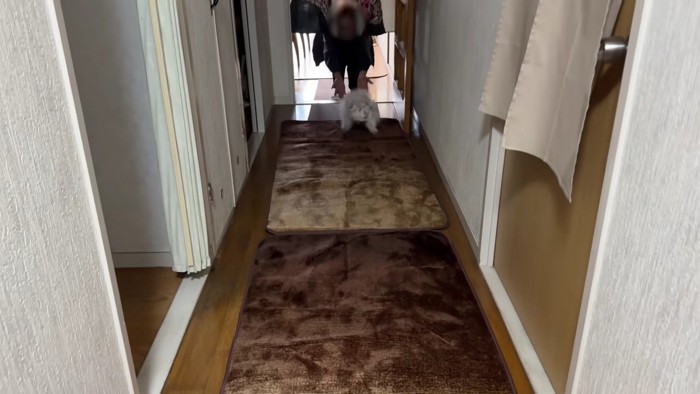 一目散におばあちゃんの元へ！！