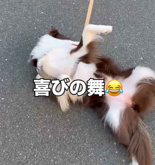 喜びの舞をするりっかちゃん