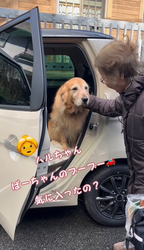 おばあちゃんが新車をお披露目