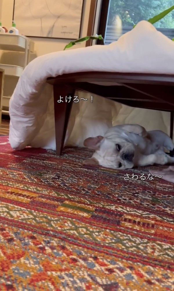 さわるな