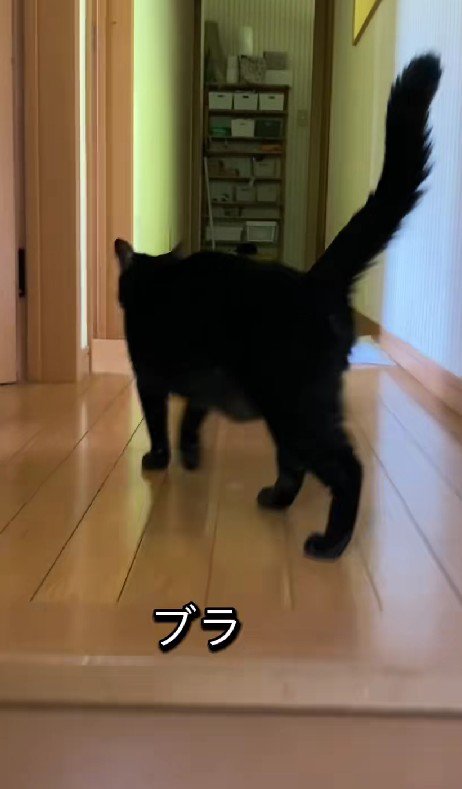 もういない…