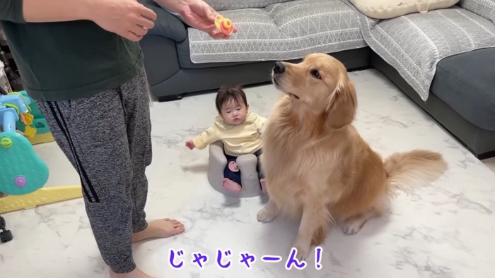 犬用おしゃぶりだよ！