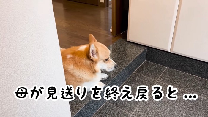 寂しくてしょんぼり