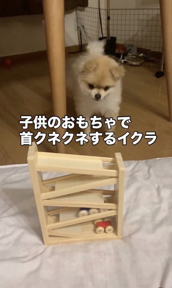 目が離せない