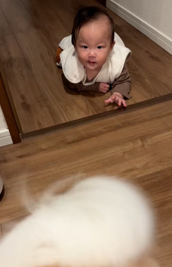 あっけにとられる赤ちゃん